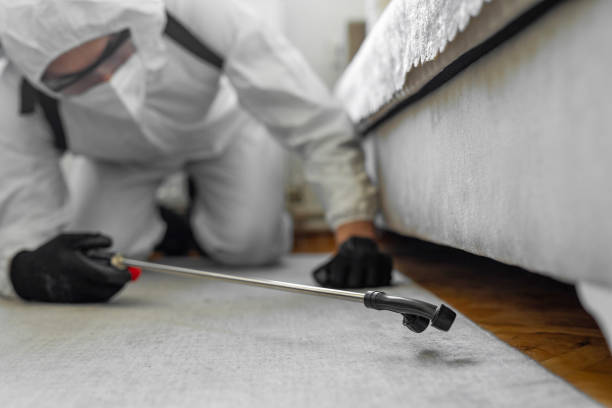 Professional Bed Bug Control technician working in Richmond, CA