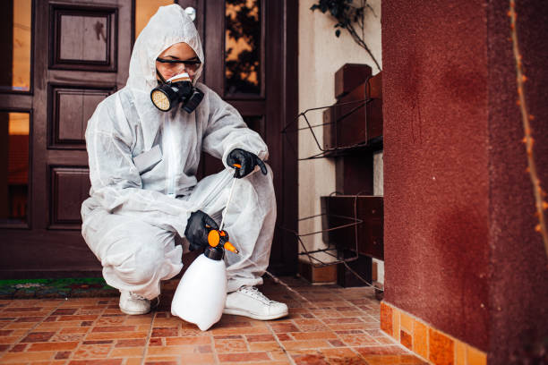 Reliable Bed Bug Control contractor in Richmond, CA by Nex Pest Control